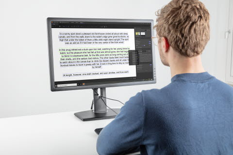 Person looking at Tobii Pro Lab softare - Reading function 