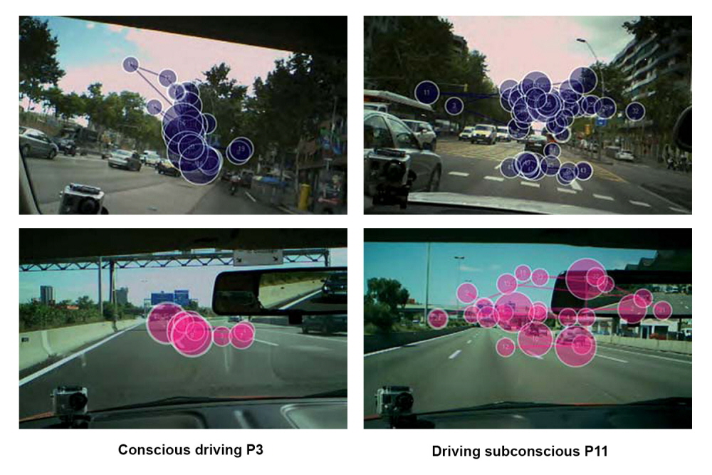 Gaze plots illustrating attention pattern while driving a car.