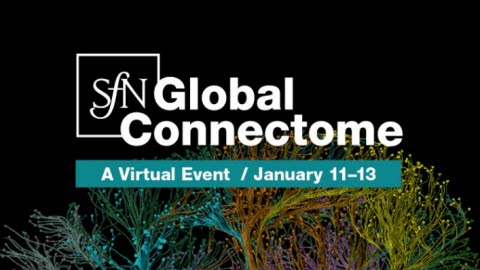 SFN Global Connectome Event Image